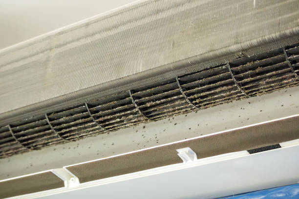 Best HVAC Air Duct Cleaning  in North Port, FL